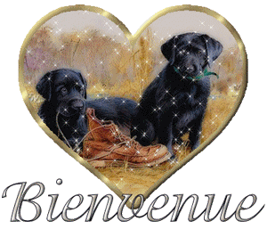 Gif animé bienvenue chien